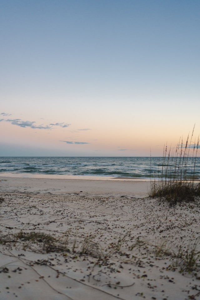 jake-hill-Fq4fOfcazog-unsplash